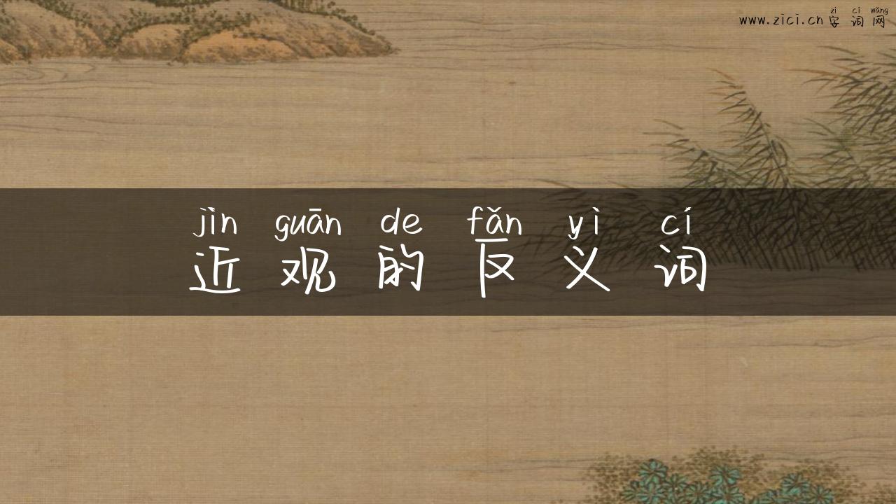 近观的反义词