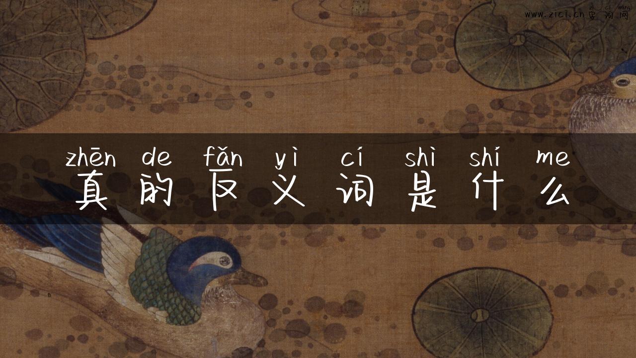真的反义词是什么