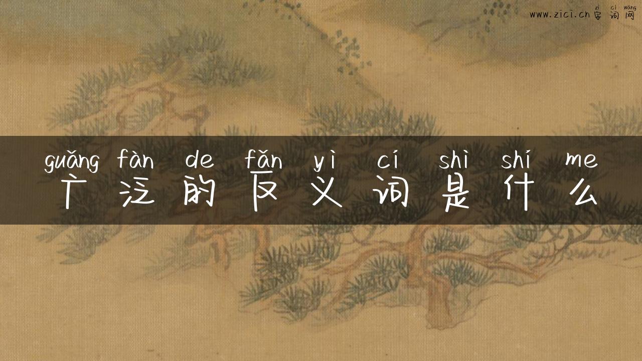 广泛的反义词是什么