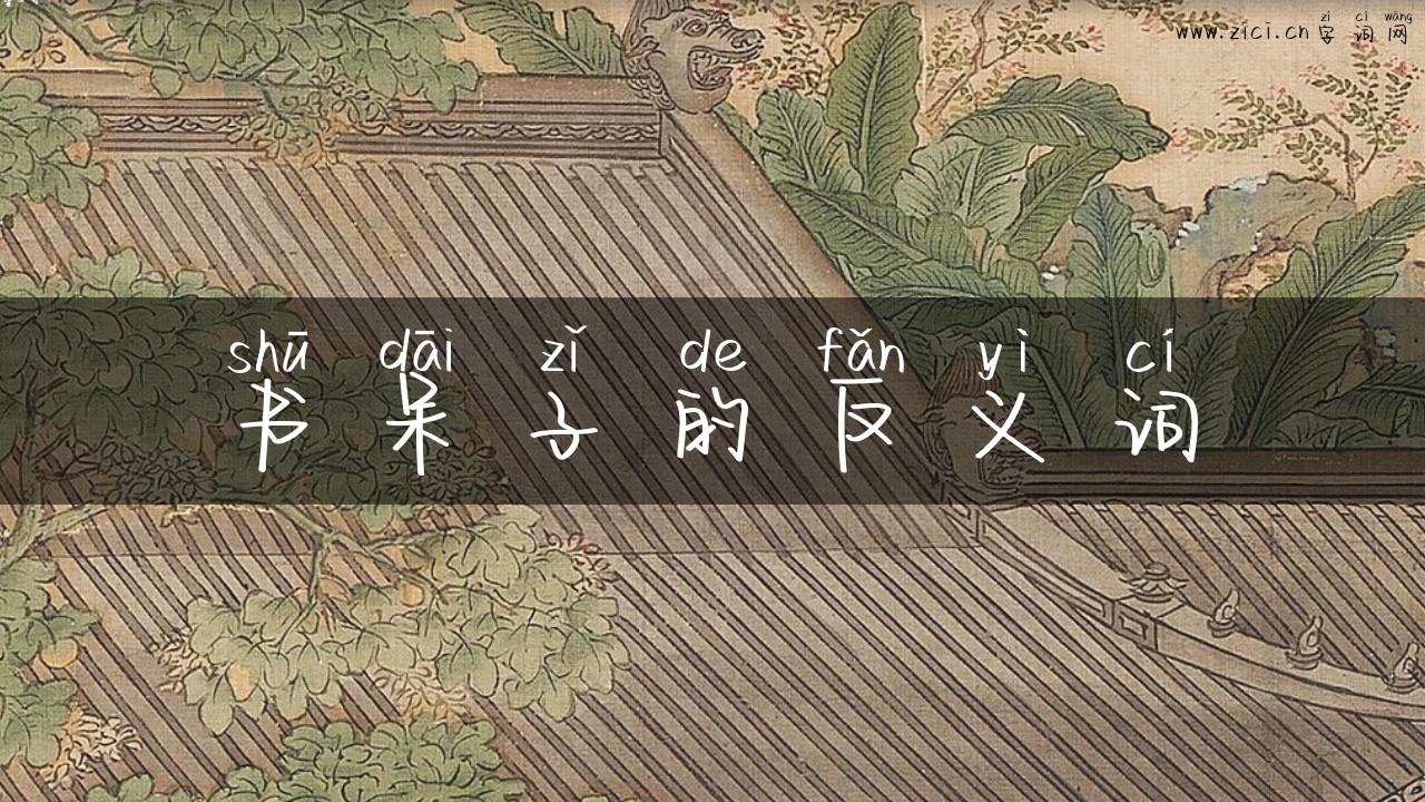 书呆子的反义词