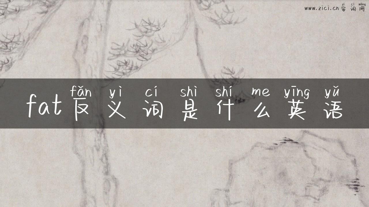 fat反义词是什么英语