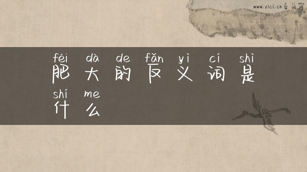 肥大的反义词是什么