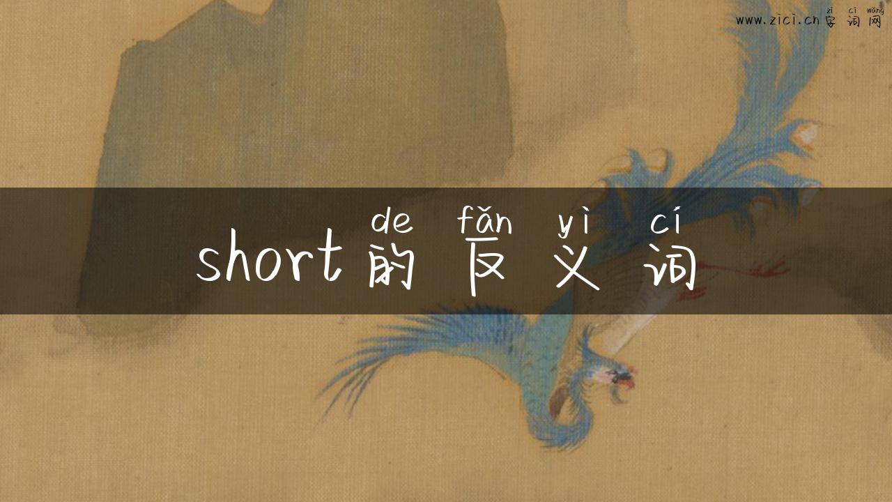 short的反义词