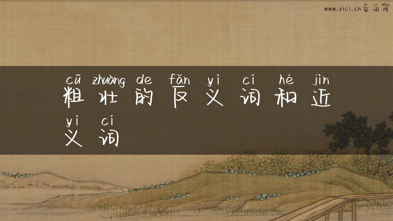 粗壮的反义词和近义词