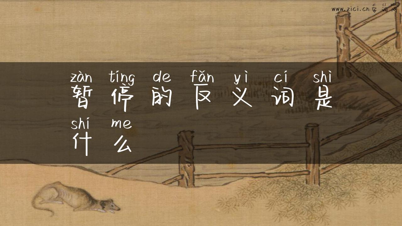 暂停的反义词是什么