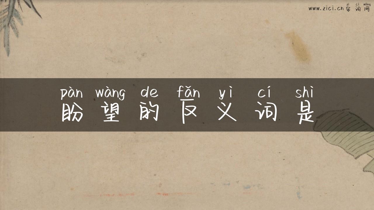 盼望的反义词是