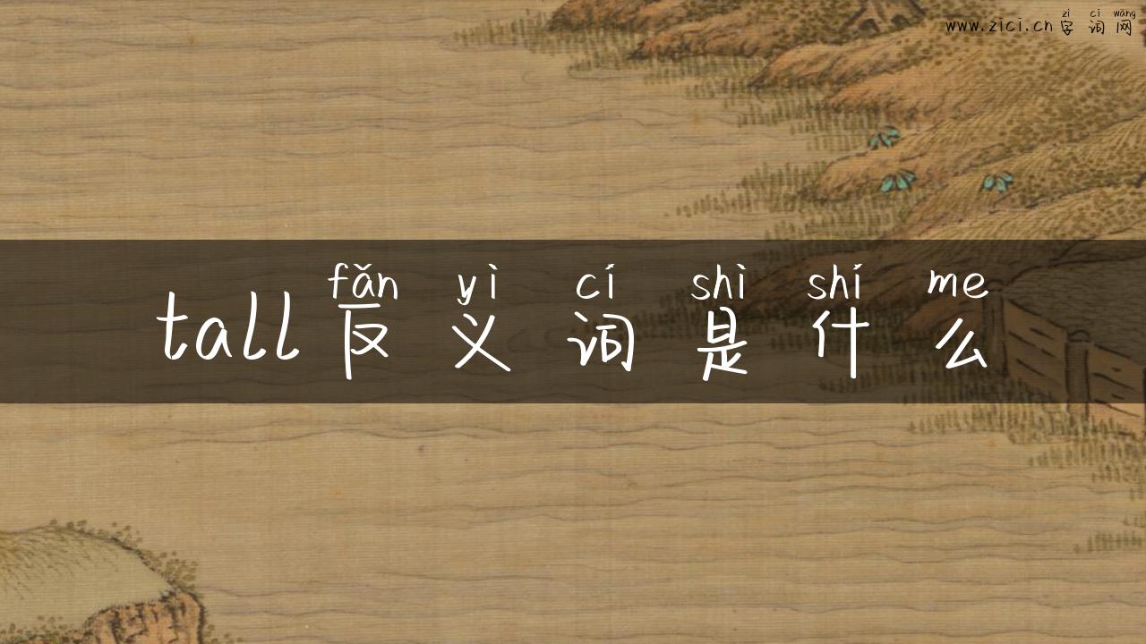 tall反义词是什么