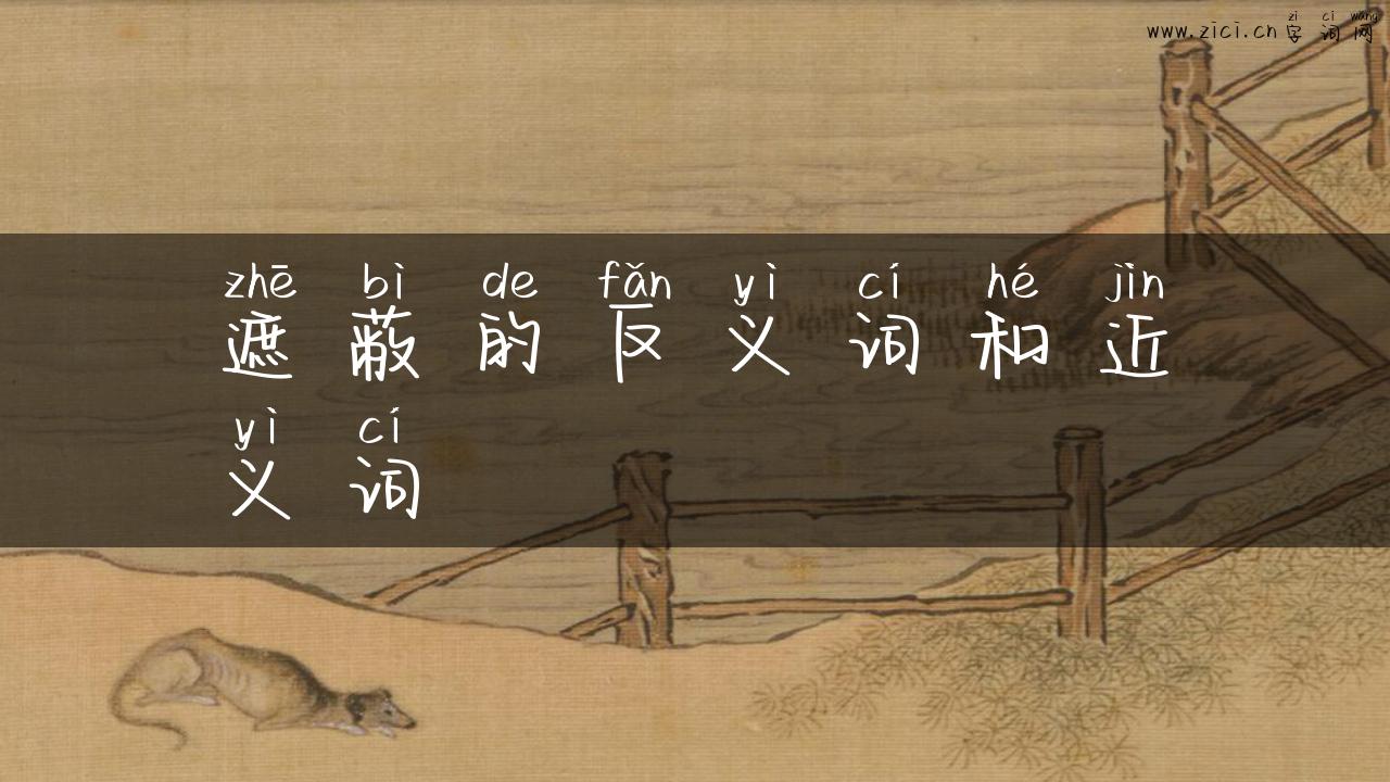 遮蔽的反义词和近义词