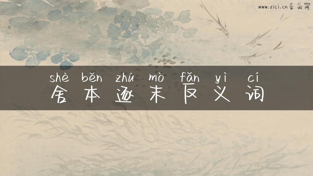 舍本逐末反义词