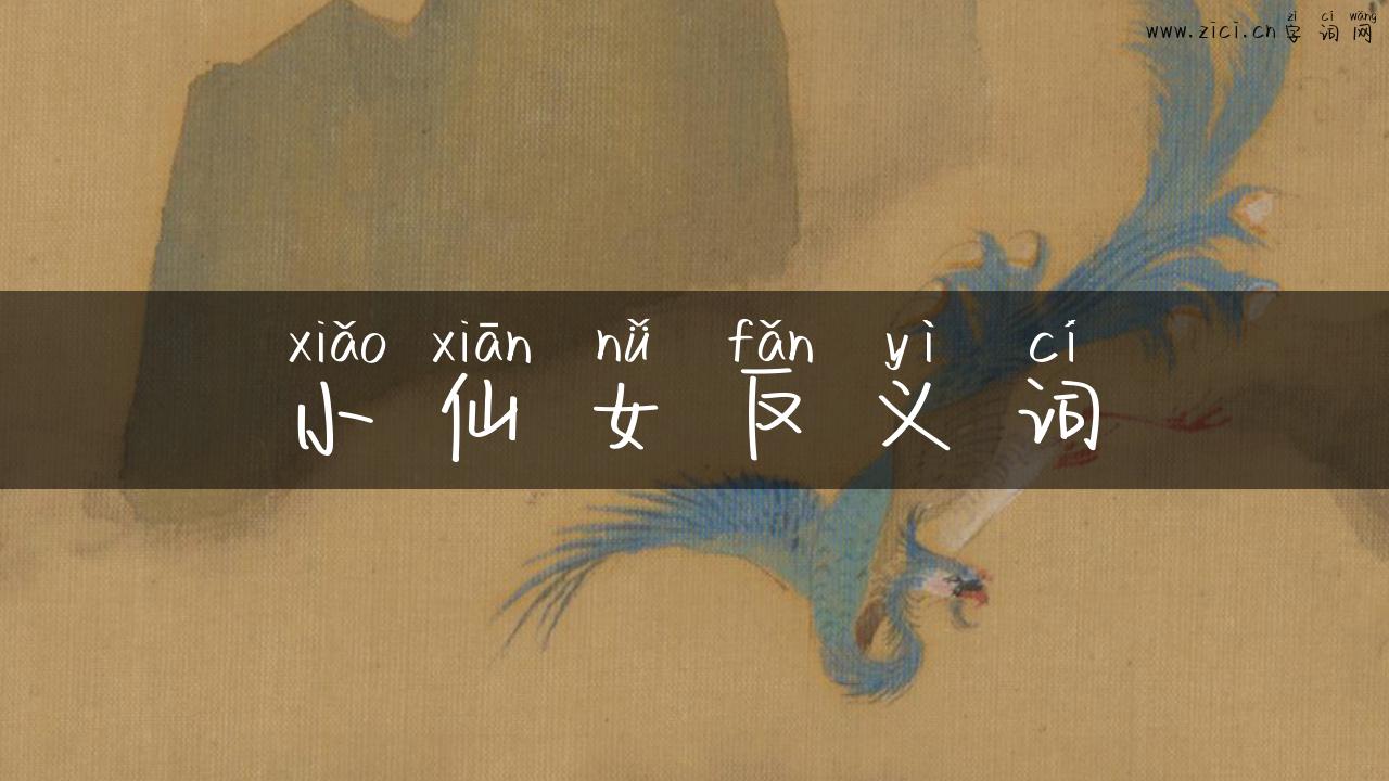 小仙女反义词