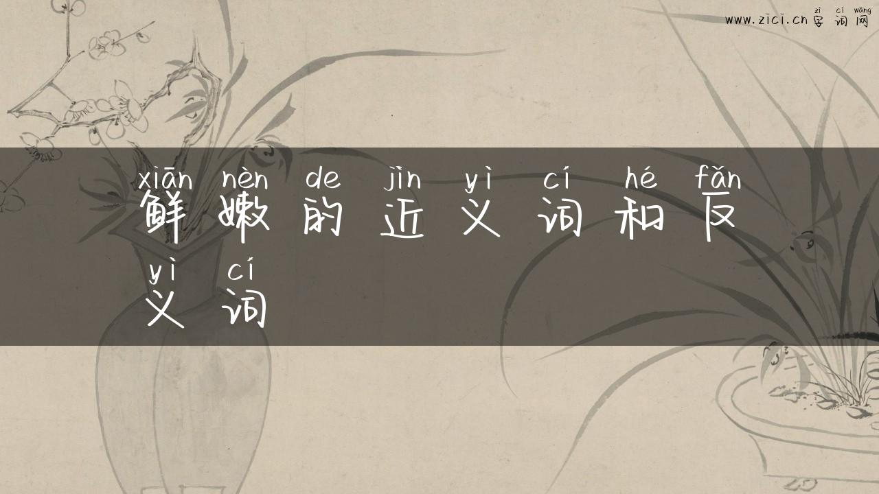 鲜嫩的近义词和反义词