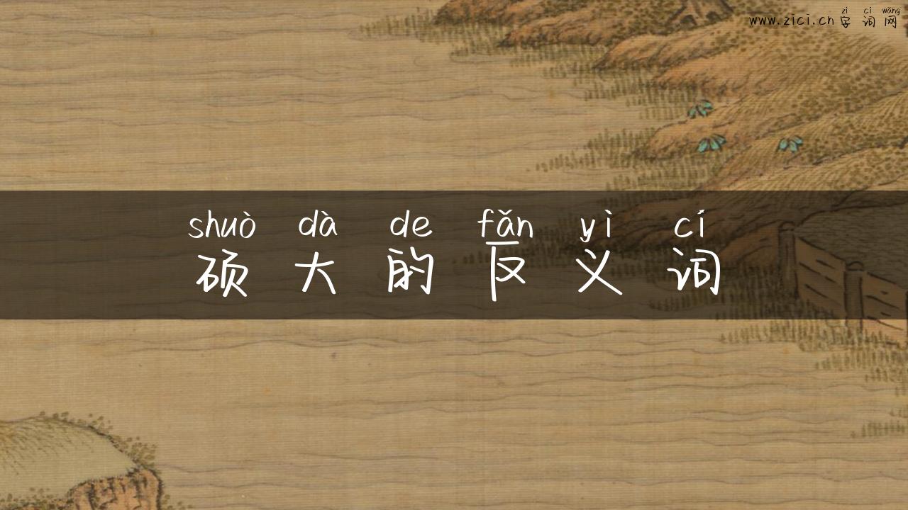 硕大的反义词