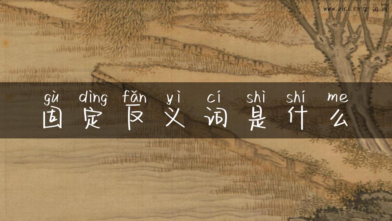 固定反义词是什么
