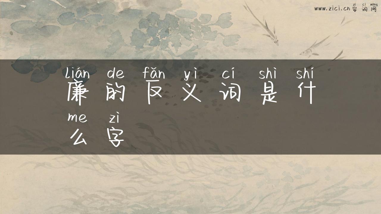 廉的反义词是什么字