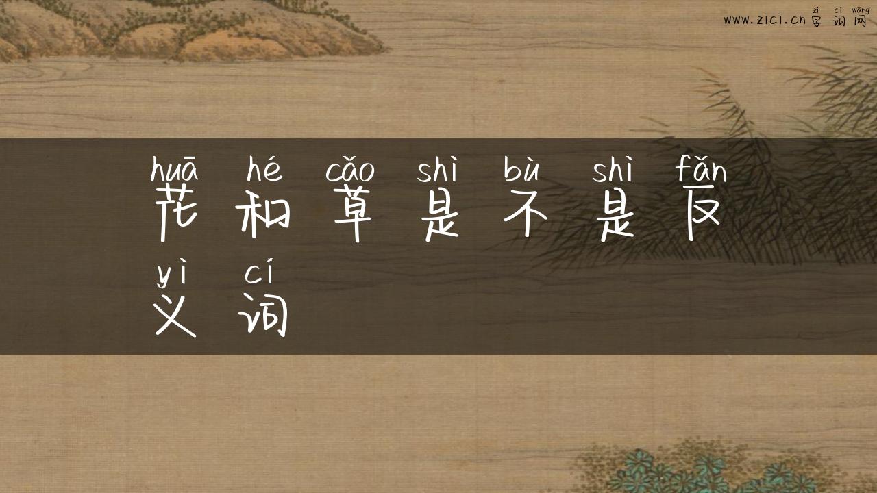 花和草是不是反义词