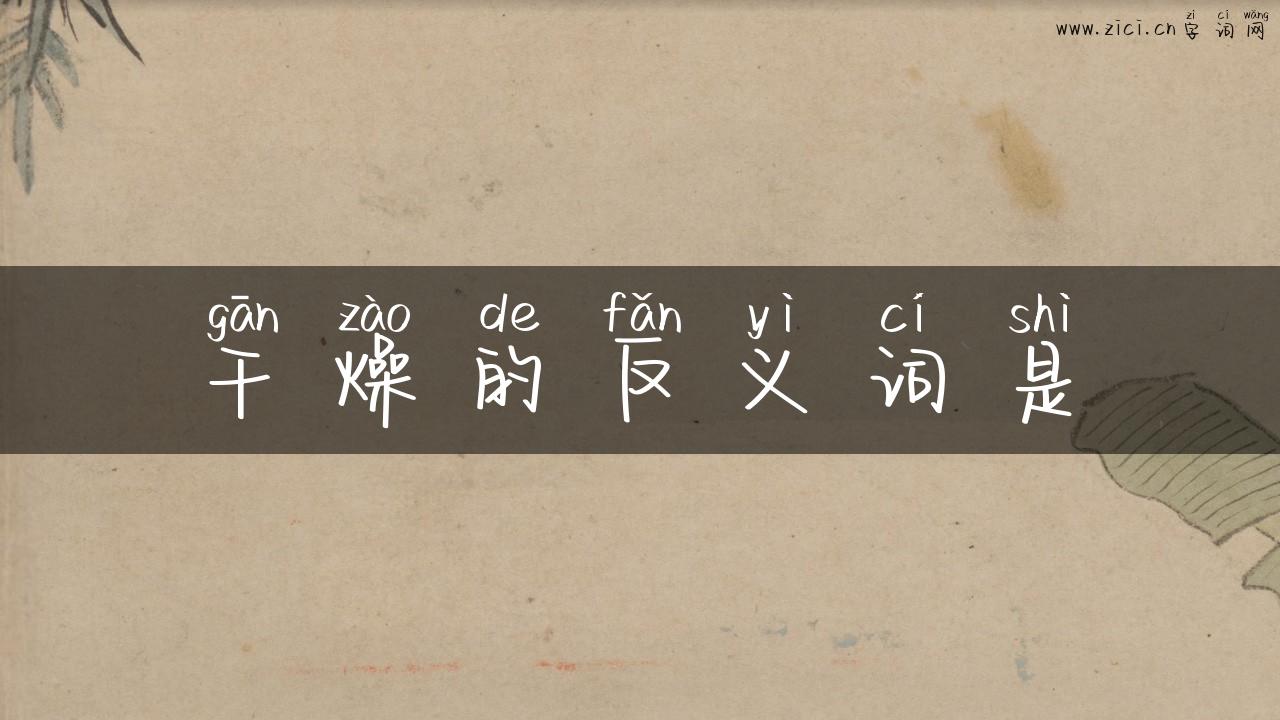 干燥的反义词是
