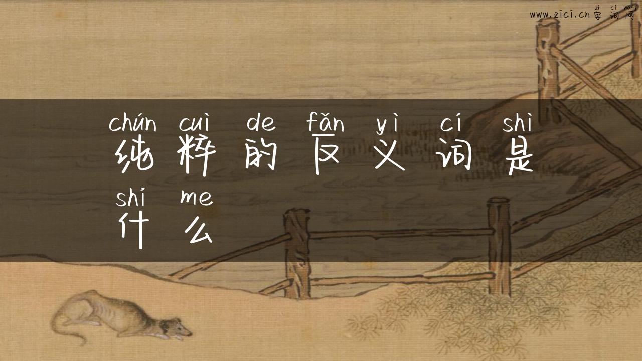 纯粹的反义词是什么