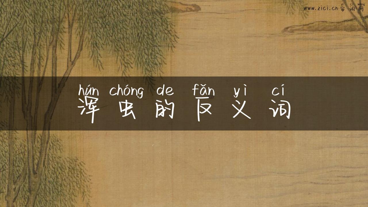 浑虫的反义词