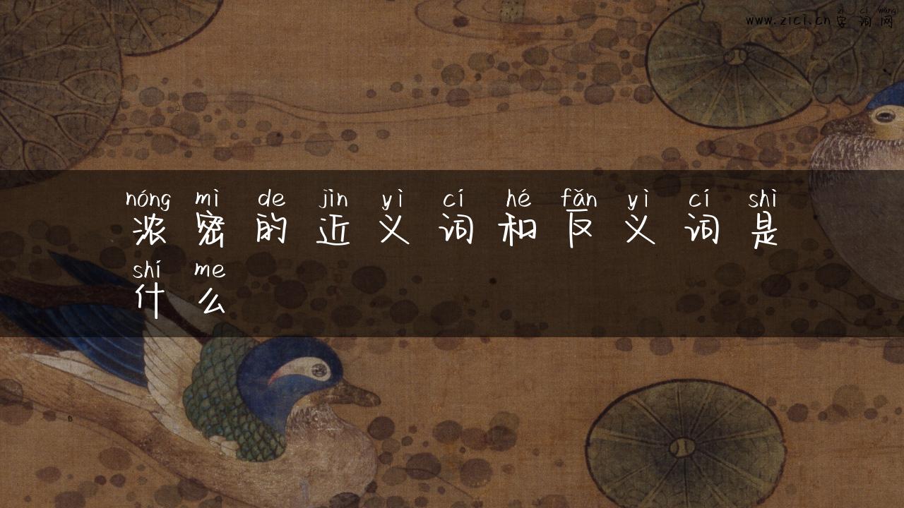 浓密的近义词和反义词是什么