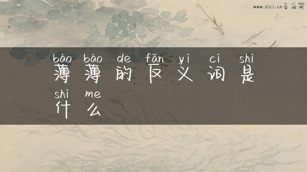 薄薄的反义词是什么