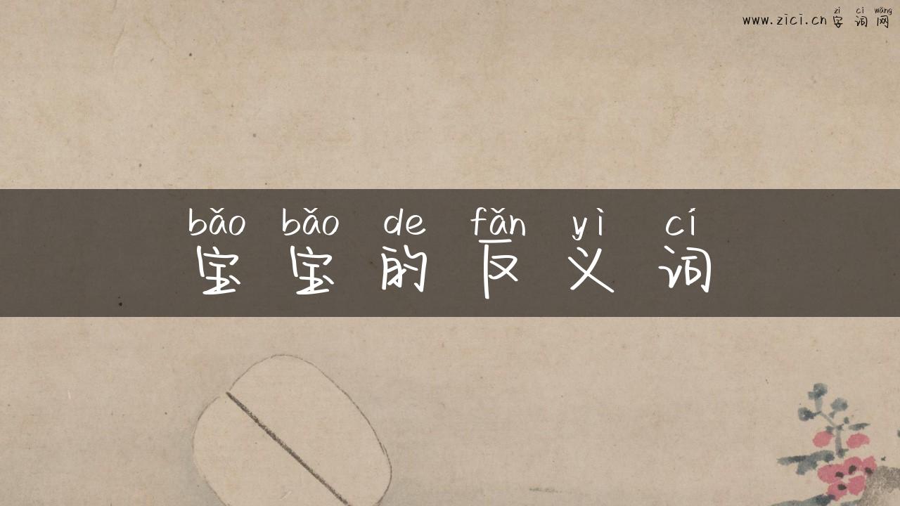 宝宝的反义词
