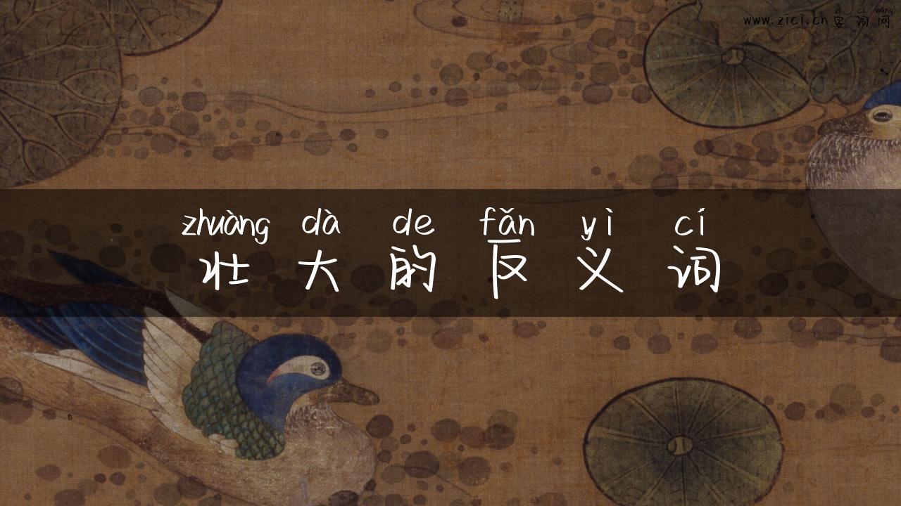壮大的反义词