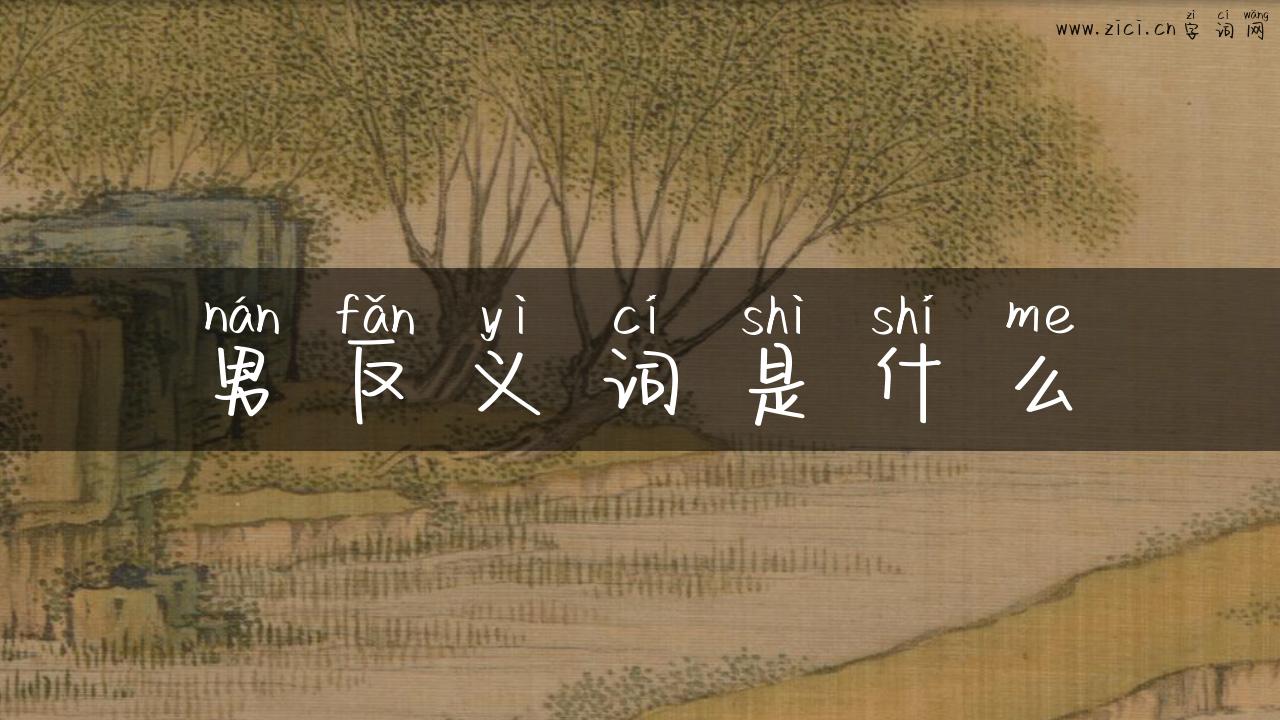 男反义词是什么