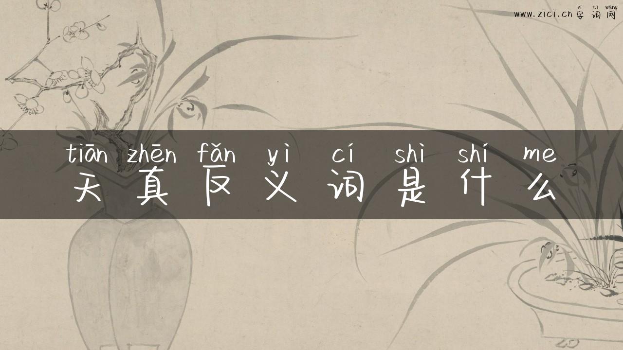 天真反义词是什么