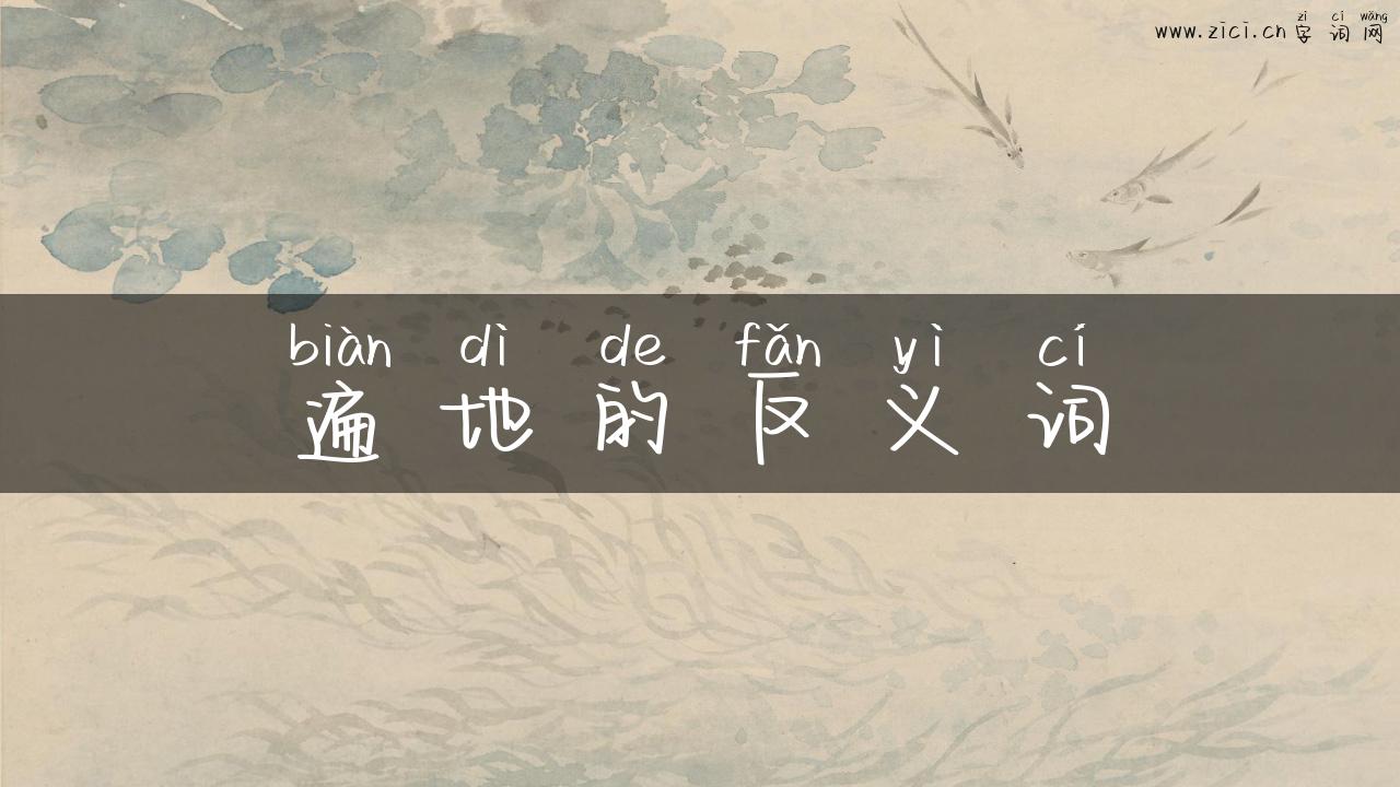 遍地的反义词
