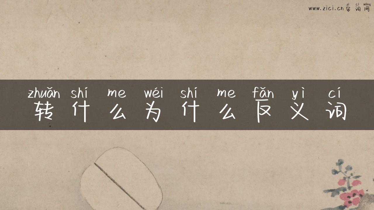 转什么为什么反义词