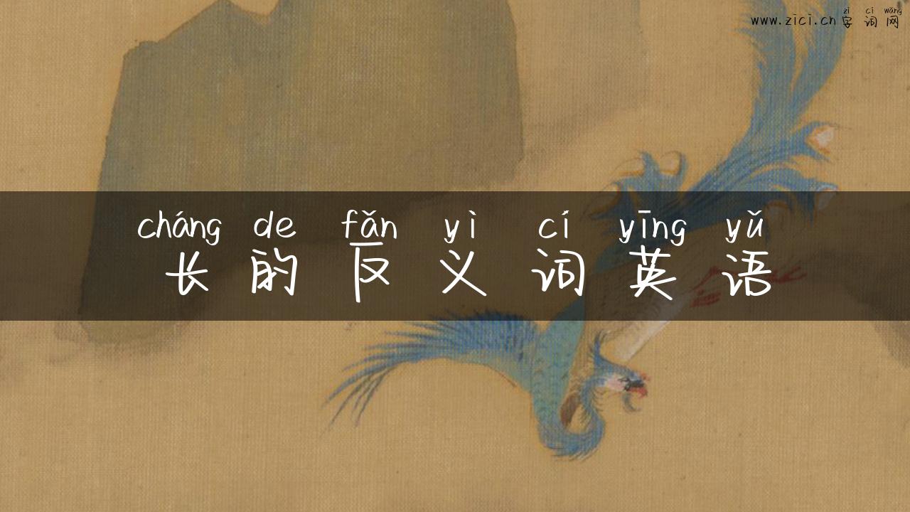 长的反义词英语