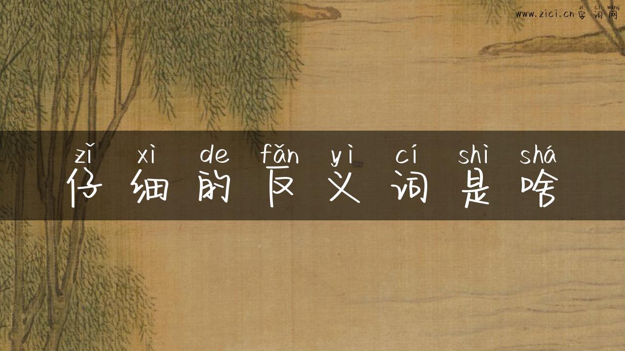 仔细的反义词是啥