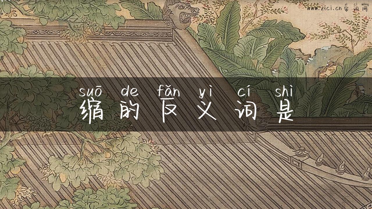 缩的反义词是