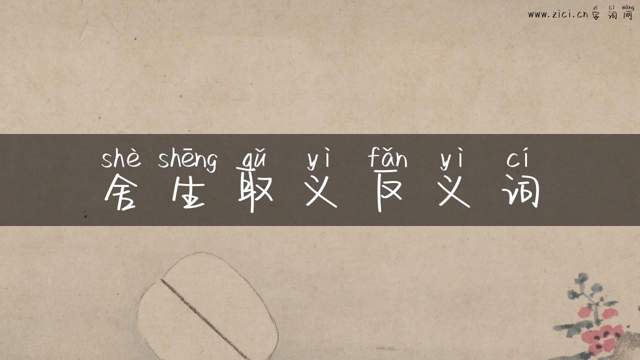 舍生取义反义词