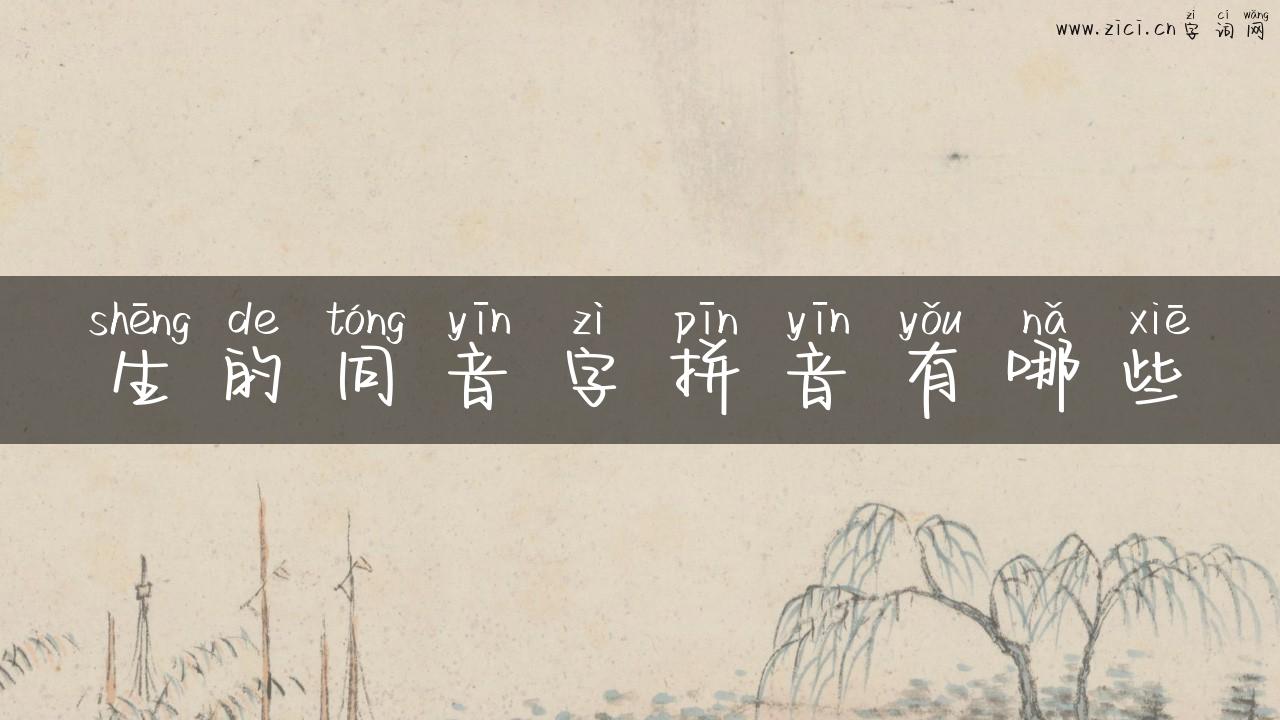 生的同音字拼音有哪些