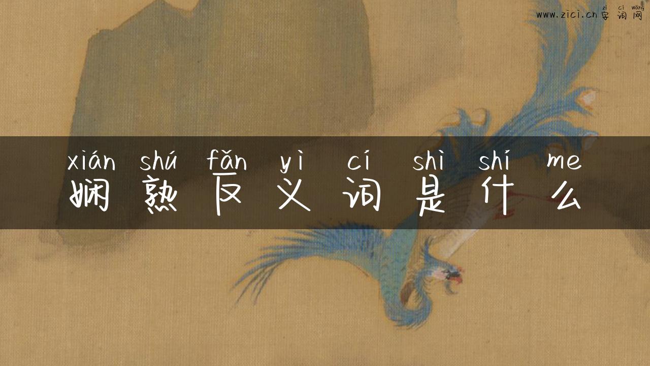 娴熟反义词是什么