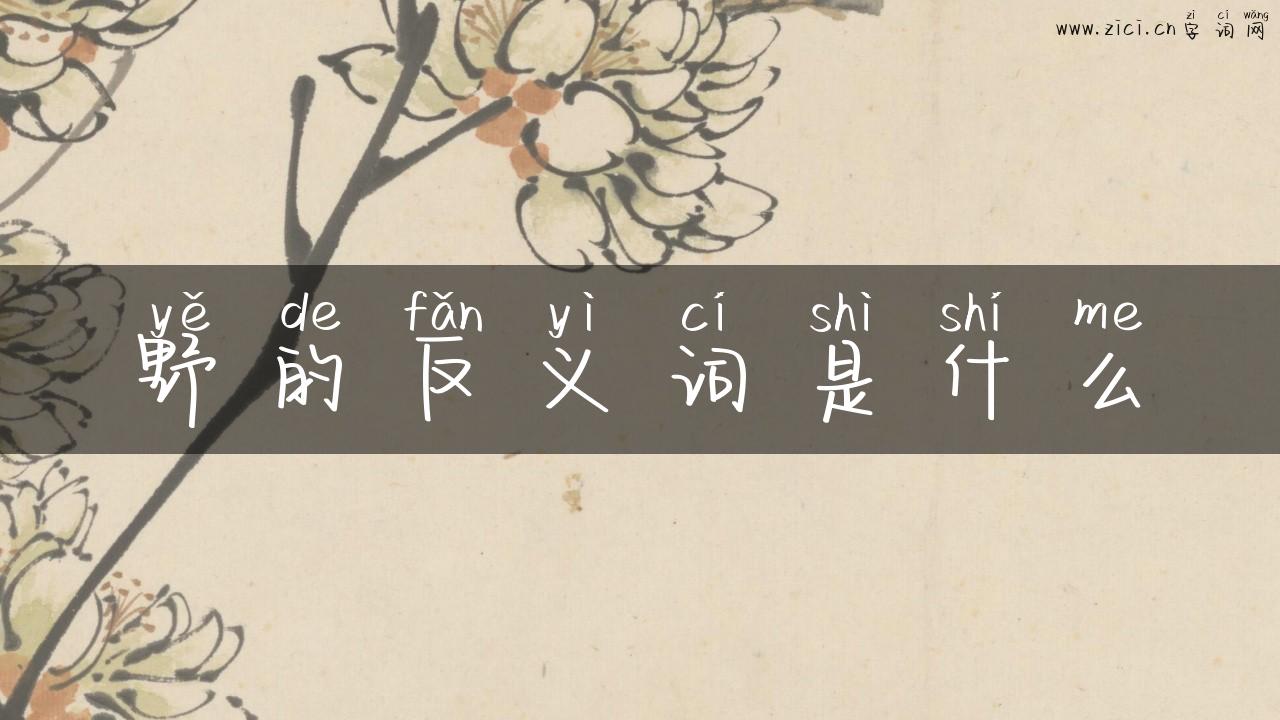 野的反义词是什么