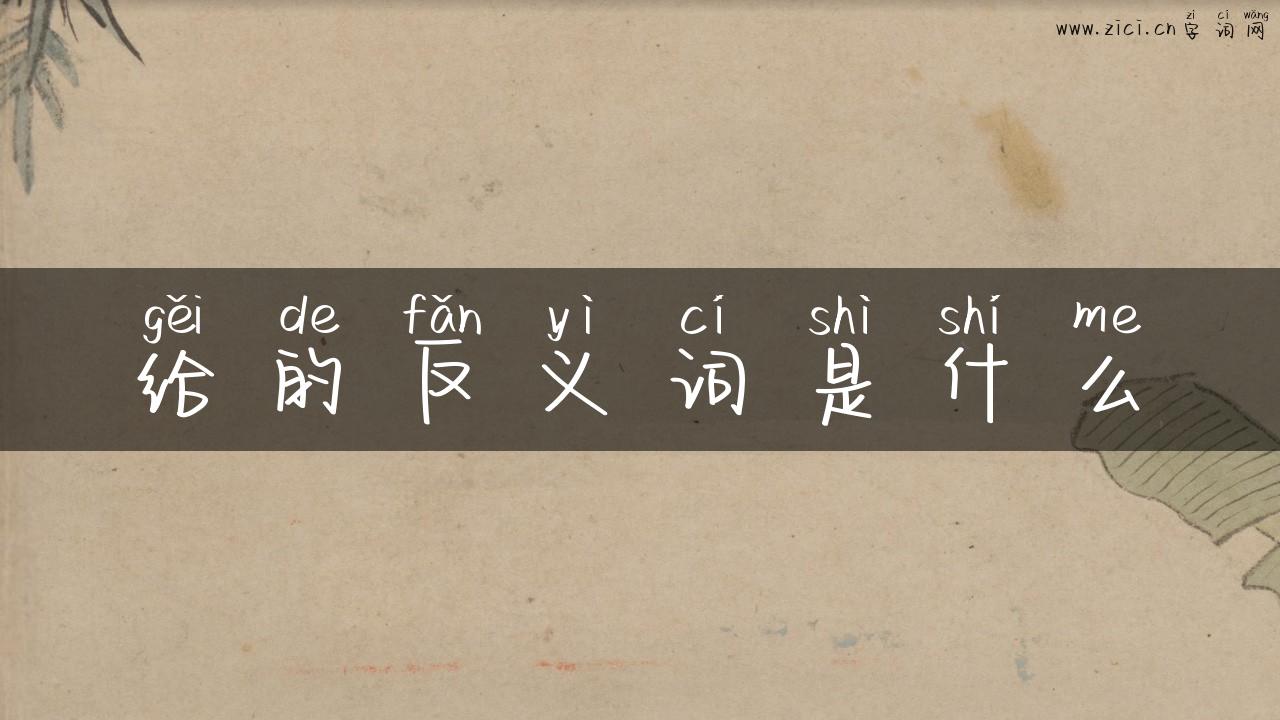 给的反义词是什么