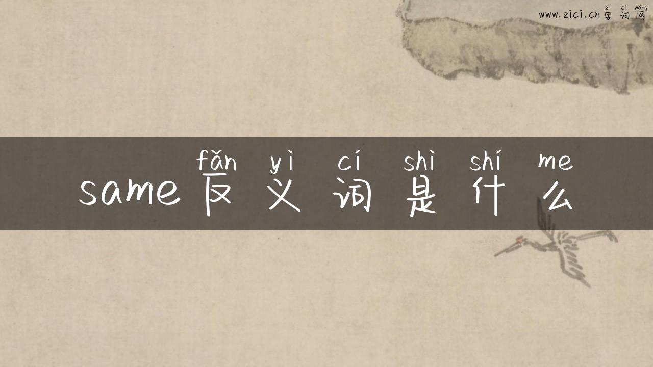 same反义词是什么