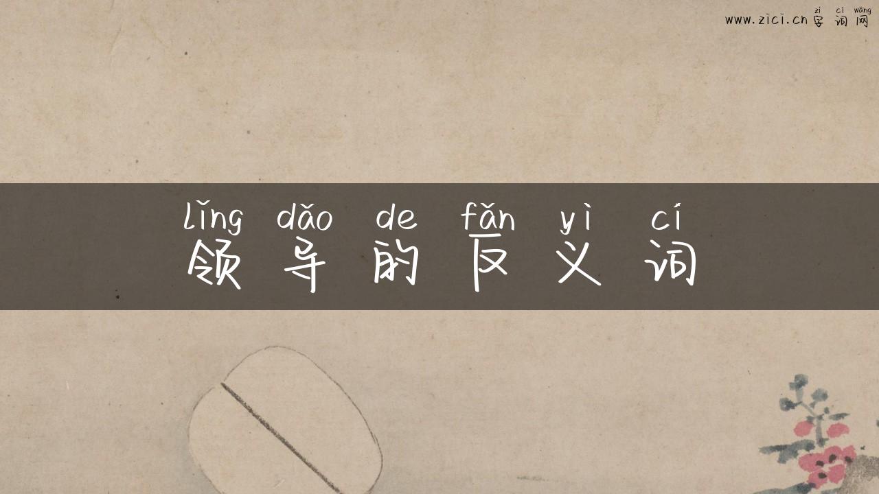 领导的反义词