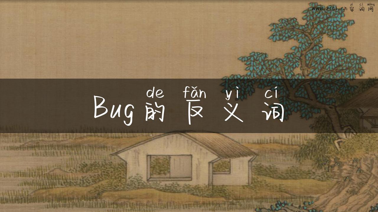 Bug的反义词