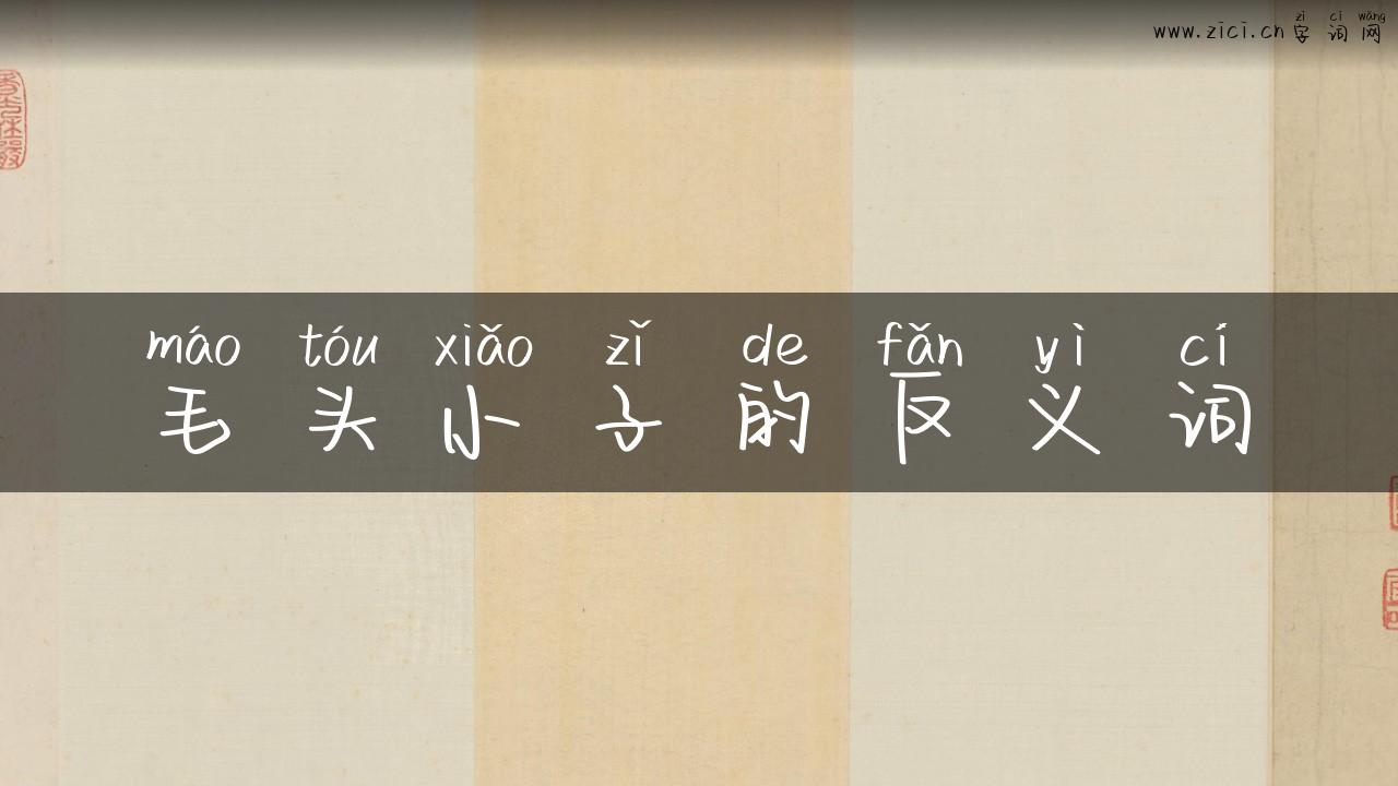 毛头小子的反义词