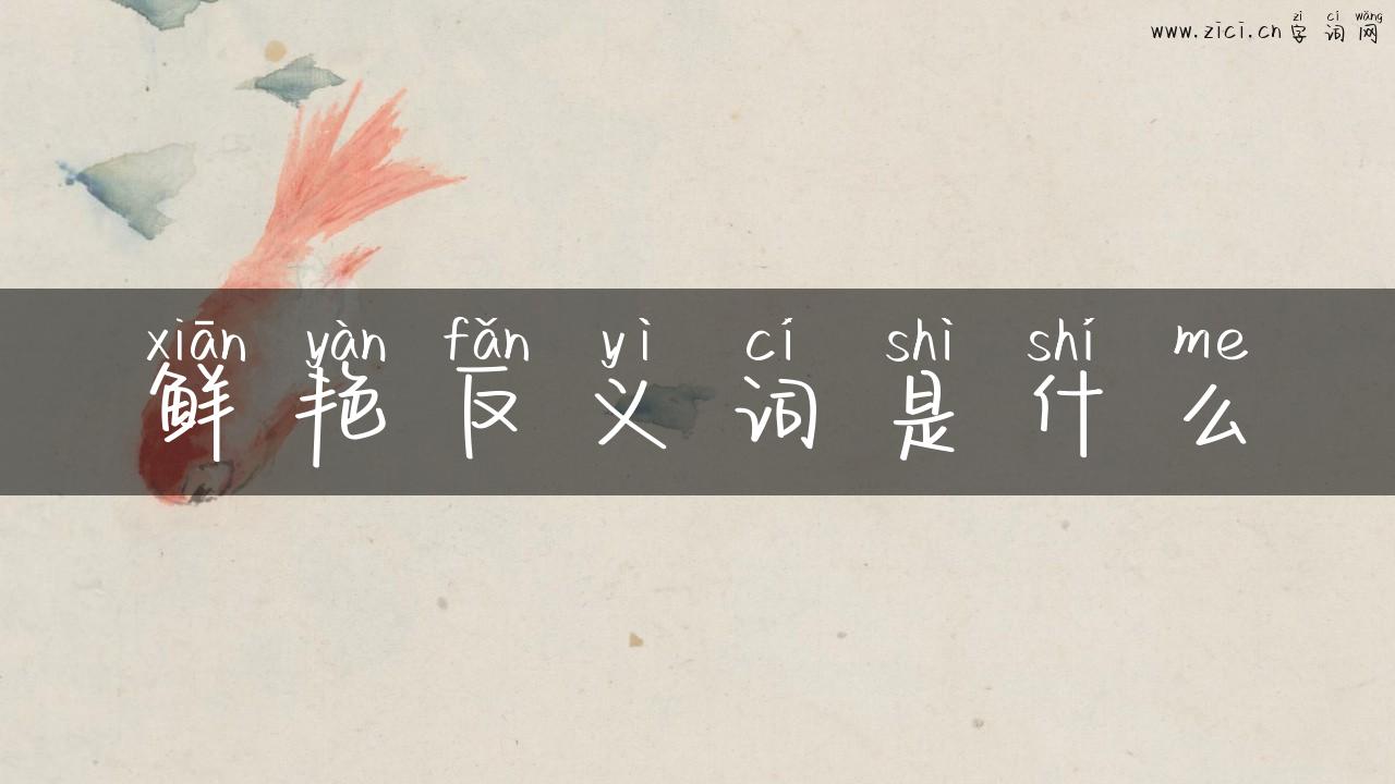 鲜艳反义词是什么