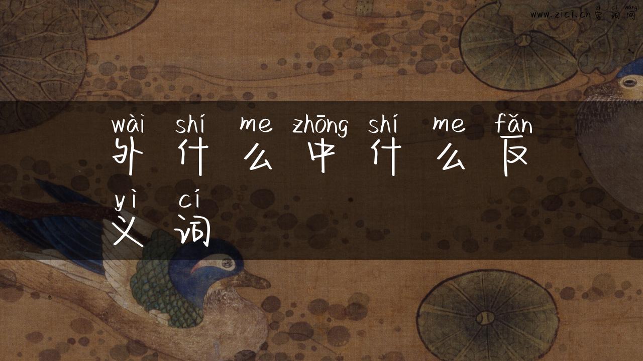 外什么中什么反义词