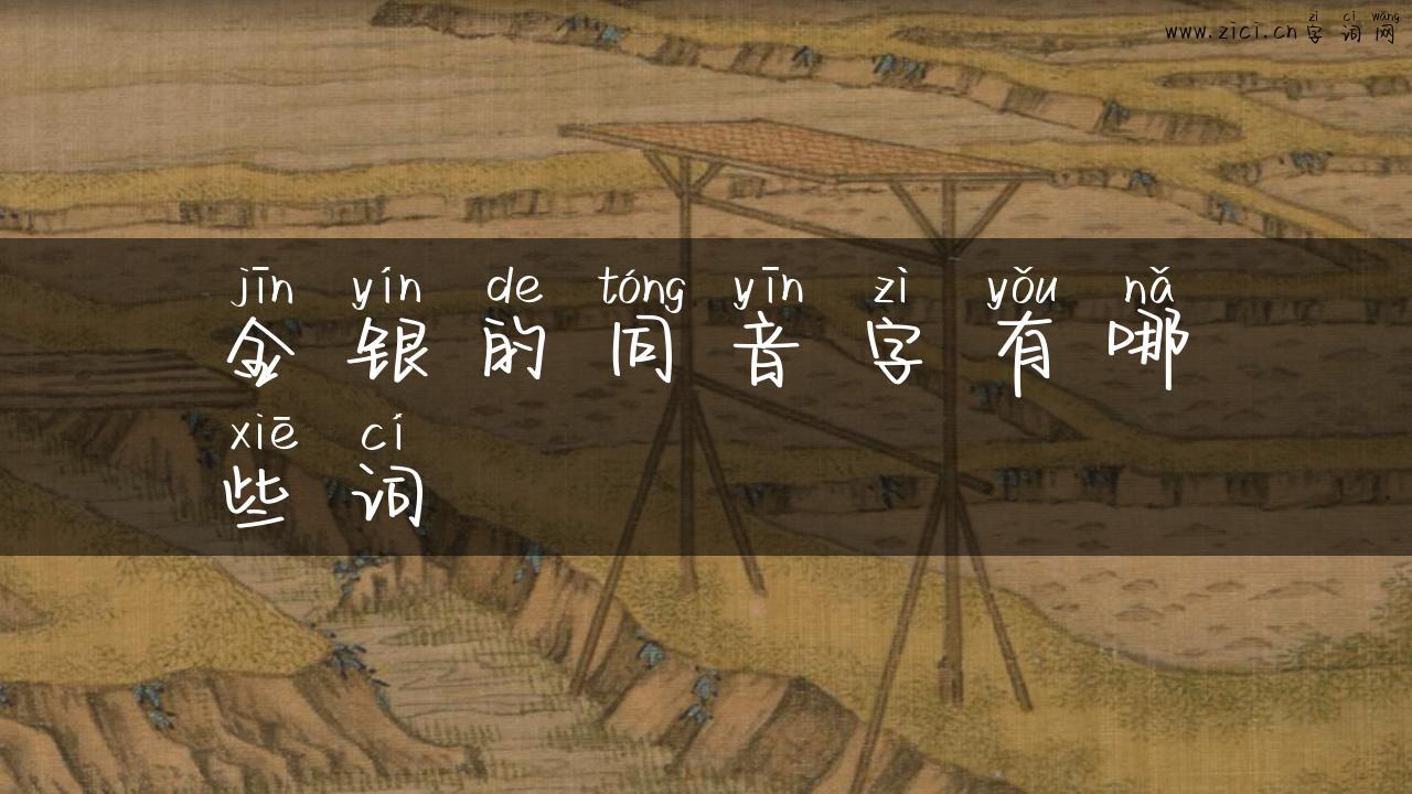 金银的同音字有哪些词