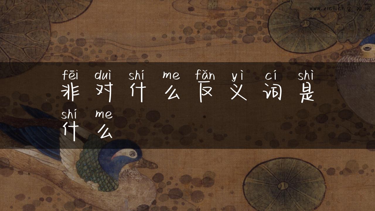 非对什么反义词是什么