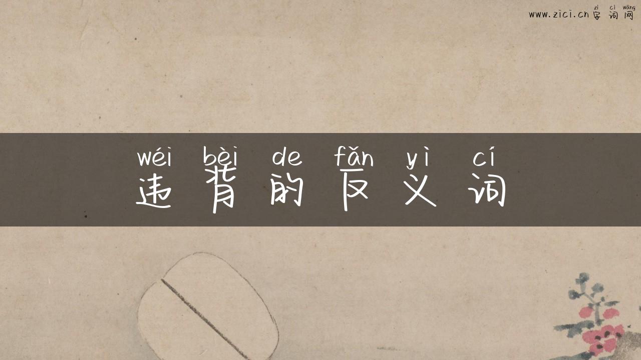 违背的反义词