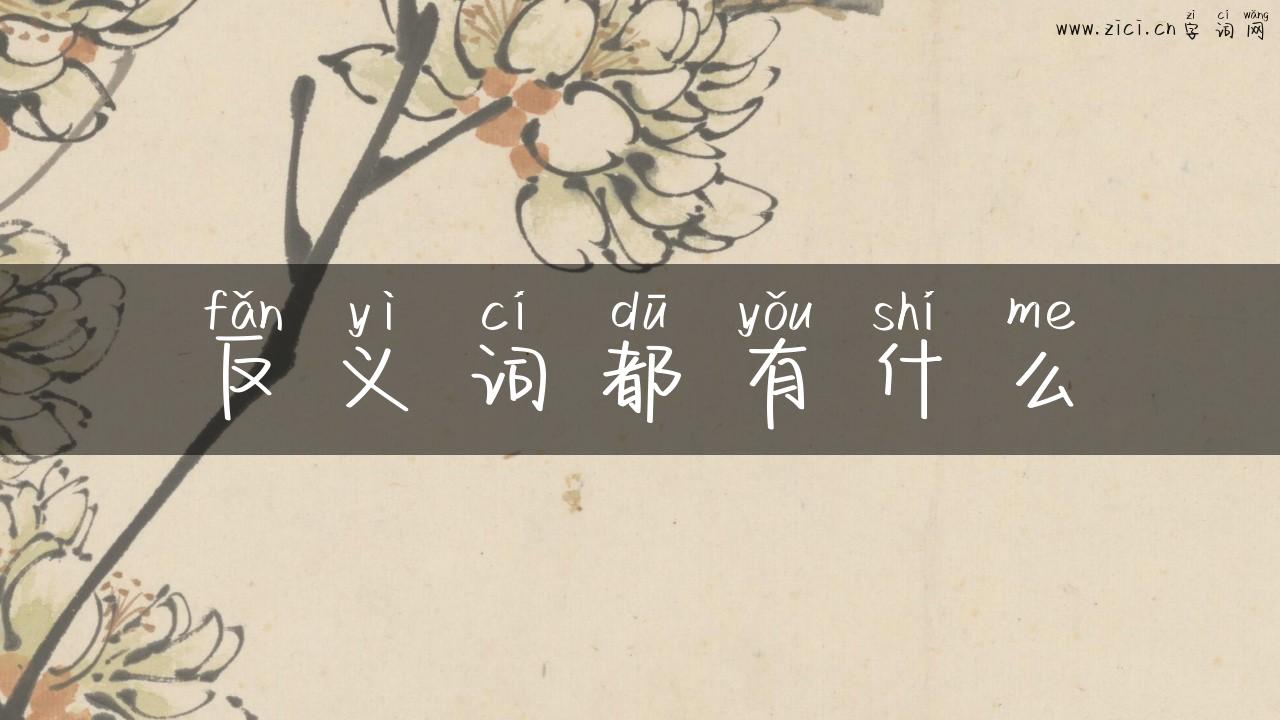 反义词都有什么