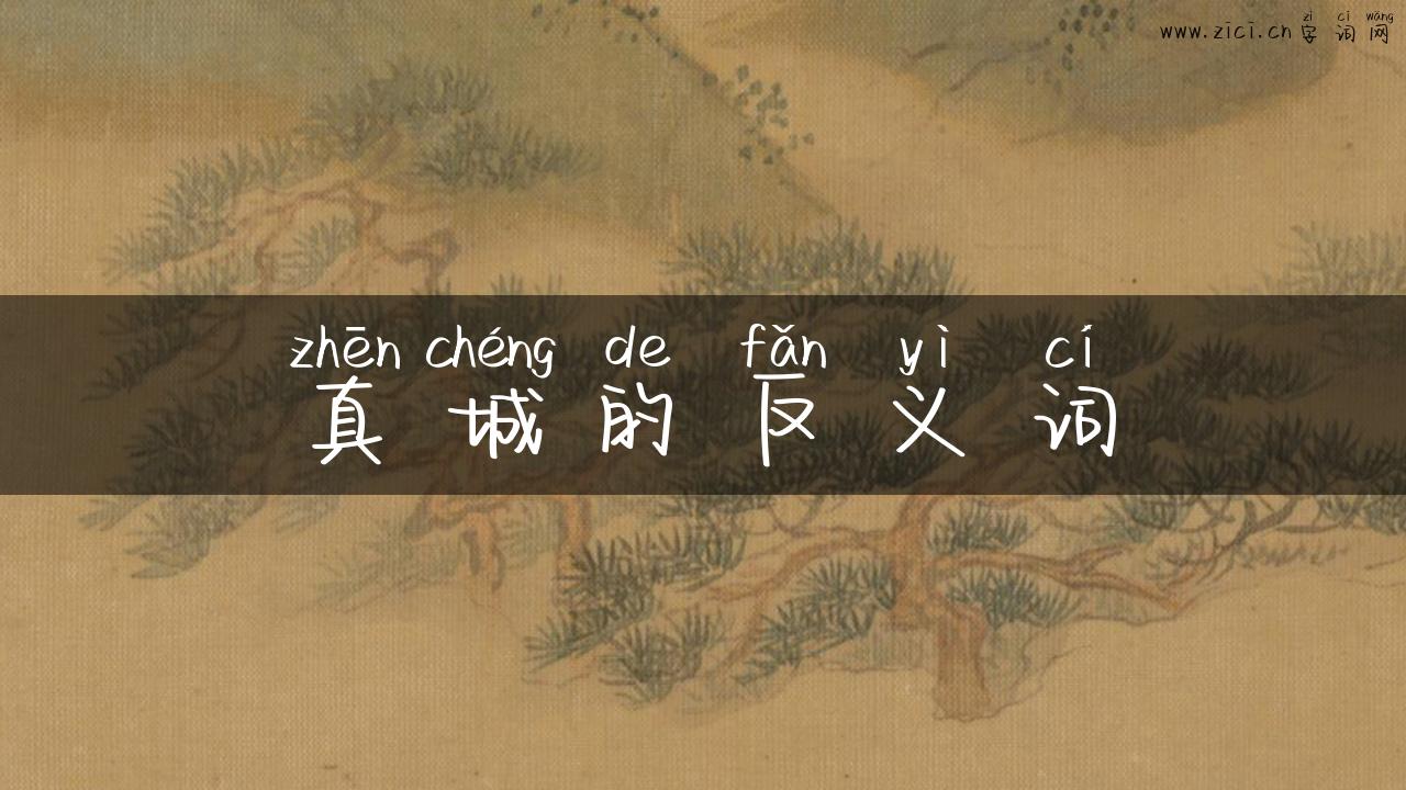 真城的反义词