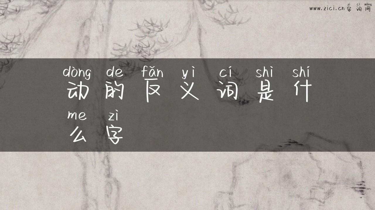 动的反义词是什么字